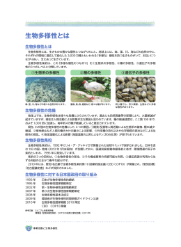 生物多様性とは