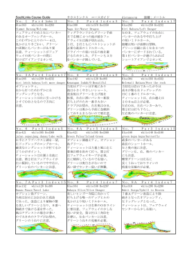SouthLinks Course Guide サウスリンクス コースガイド distance:m 距離