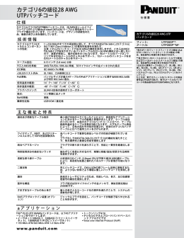 Category 6 Performance 28 AWG UTP Patch Cords