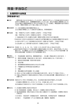 年金・手当など，医療 (PDF:462KB)