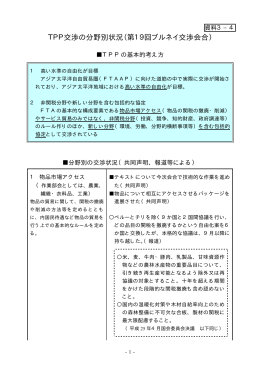 資料3-4 TPP交渉の分野別状況（第19回ブルネイ交渉会合）（PDF：23KB）