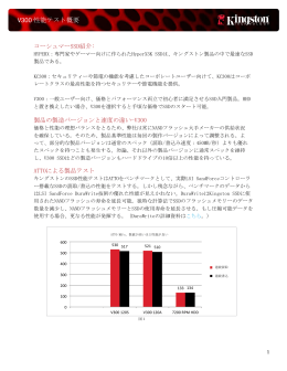 V300 性能テスト概要