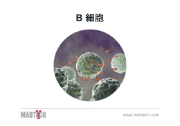 B細胞 [PDF：432KB]
