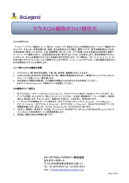 mouseCD4細胞のTh17極性化プロトコール