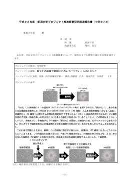 脱分化の過程で細胞はどのようにリフォームされるか？（PDF
