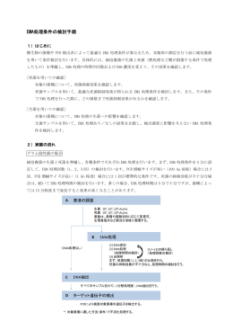 EMA処理条件の検討手順