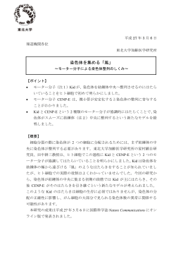 染色体を集める「風」