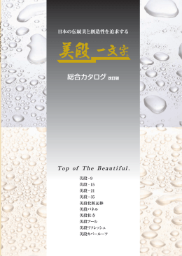 美段-9 - 日本鐵板