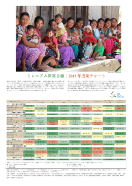 ミレニアム開発目標：2015 年成果チャート