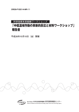 「中低温域作動の革新的反応と材料ワークショップ