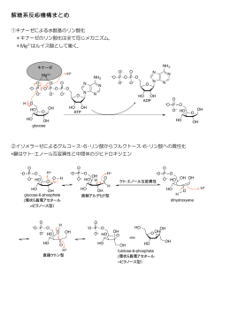 解糖系反応機構まとめ