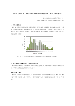 平成 26（2014）年 本州太平洋サケ 4 年魚の回帰状況