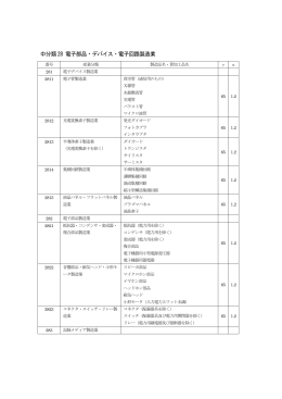 中分類28 電子部品・デバイス・電子回路製造業