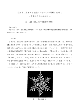 自然界に現れる紋様・パターンの理解にむけて―数学から