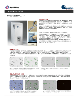 幹細胞の自動カウント