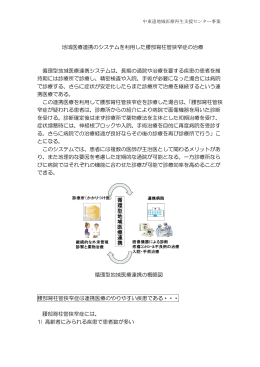 腰部脊柱管狭窄症 運用マニュアル