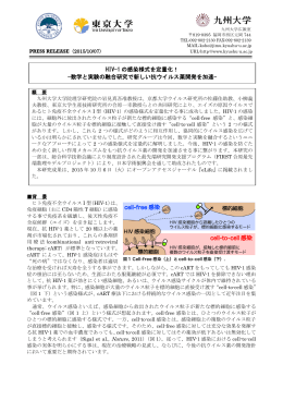 HIV-1 の感染様式を定量化！ -数学と実験の融合研究で