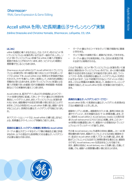 Accell siRNAを用いた長期遺伝子サイレンシング実験