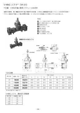 V-KING ソフト&reg;（VK-01）