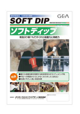 ソフトディップ（PDFファイル）