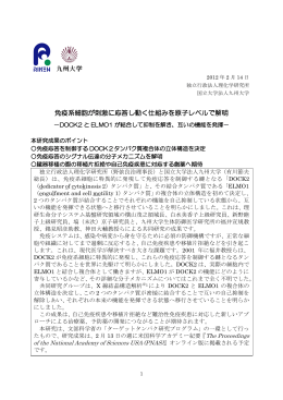 免疫系細胞が刺激に応答し動く仕組みを原子レベルで解明