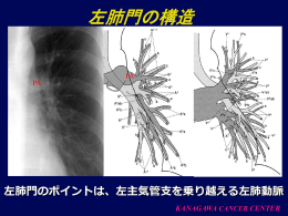 左肺門の構造