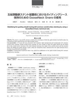 左総頚動脈ステント留置術におけるガイディングシース 保持のための