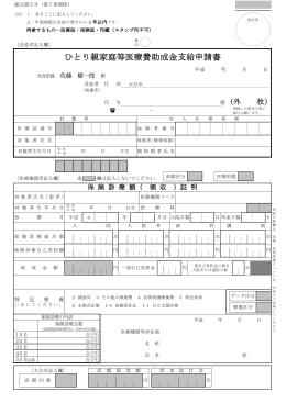 ひとり親家庭等医療費助成金支給申請書 (PDF:158KB)