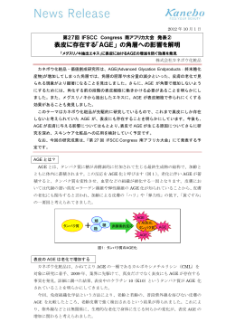表皮に存在する「AGE」 の角層への影響を解明