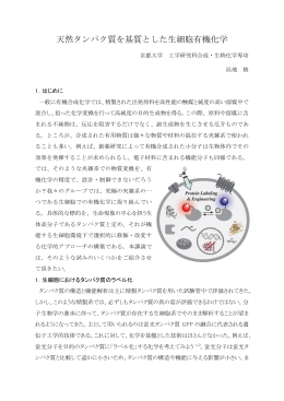 天然タンパク質を基質とした生細胞有機化学