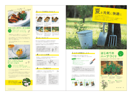 ドラッグストアやホームセンターで手に入る木酢液（炭を作る際に出る