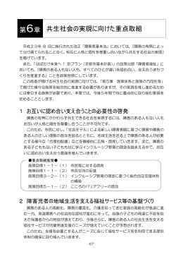 第6章 共生社会の実現に向けた重点取組(PDF形式, 211.31KB)