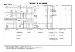 平成25年度 財政状況資料集