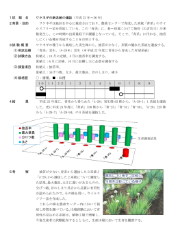 1試 験 名 ワケネギの新系統の選抜（平成 22 年～26 年） 2背景・目的