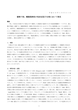 植物で初、雌雄異株性の性決定因子を柿において発見