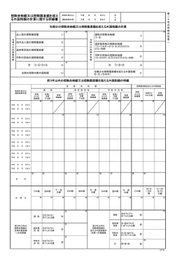 2 控除余裕額又は控除限度額を超える外国税額の計算に関する明細書