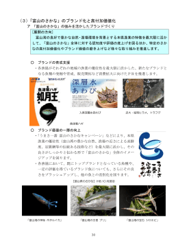(3)「富山のさかな」のブランド化と高付加価値化