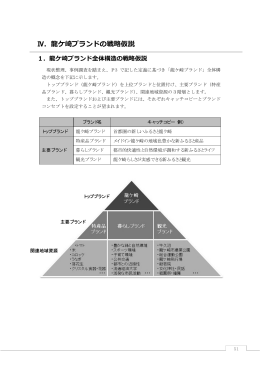 Ⅳ．龍ケ崎ブランドの戦略仮説
