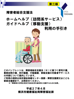 平成24年度 指定障害福祉サービス 事業者等集団指導 【訪問
