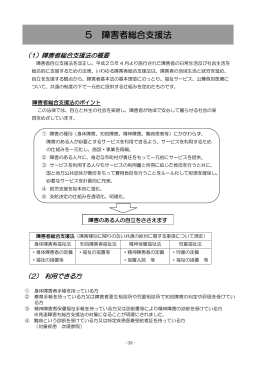 5 障害者総合支援法(1/2)(PDF形式, 390.87KB)