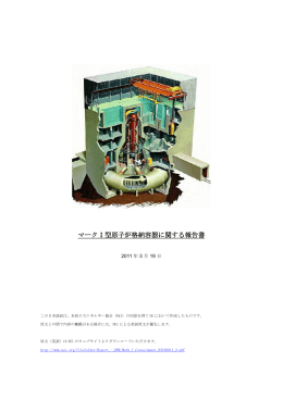 マークⅠ型原子炉格納容器に関する報告書