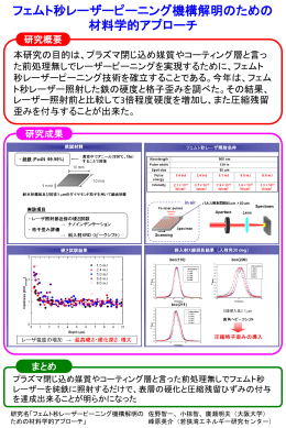 フェムト秒レーザーピーニング機構解明のための材料学的アプローチ