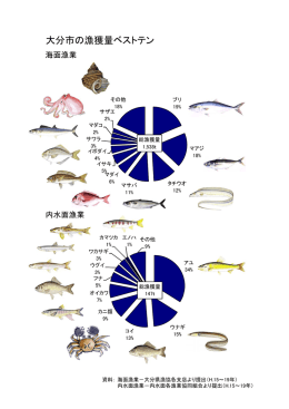 大分市の漁獲量ベストテン
