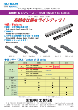 ボールねじアクチュエータ SEシリーズ 高精度仕様