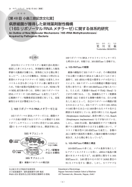 病原細菌が獲得した新規薬剤耐性機構 （16S リボゾーマル