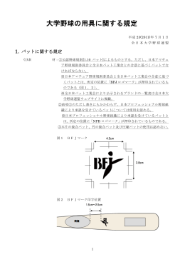 大学野球の用具に関する規定