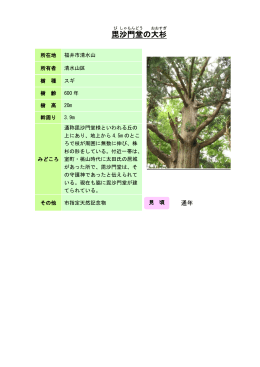 2福井：毘沙門堂の大杉（PDF形式 150キロバイト）