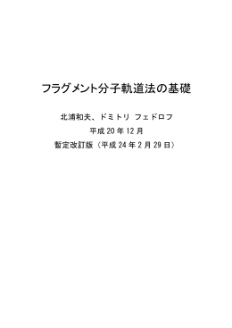 フラグメント分子軌道法の基礎