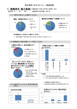 Ⅰ 暗渠排水（施工直後）