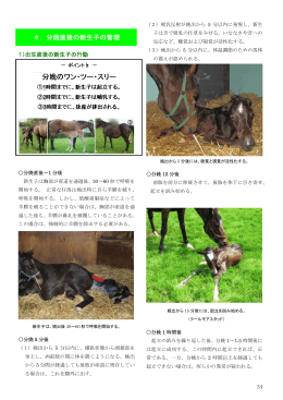 4．分娩直後の新生子の管理